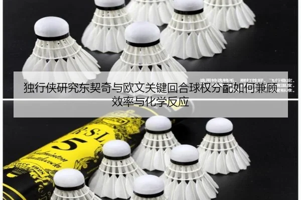 独行侠研究东契奇与欧文关键回合球权分配如何兼顾效率与化学反应